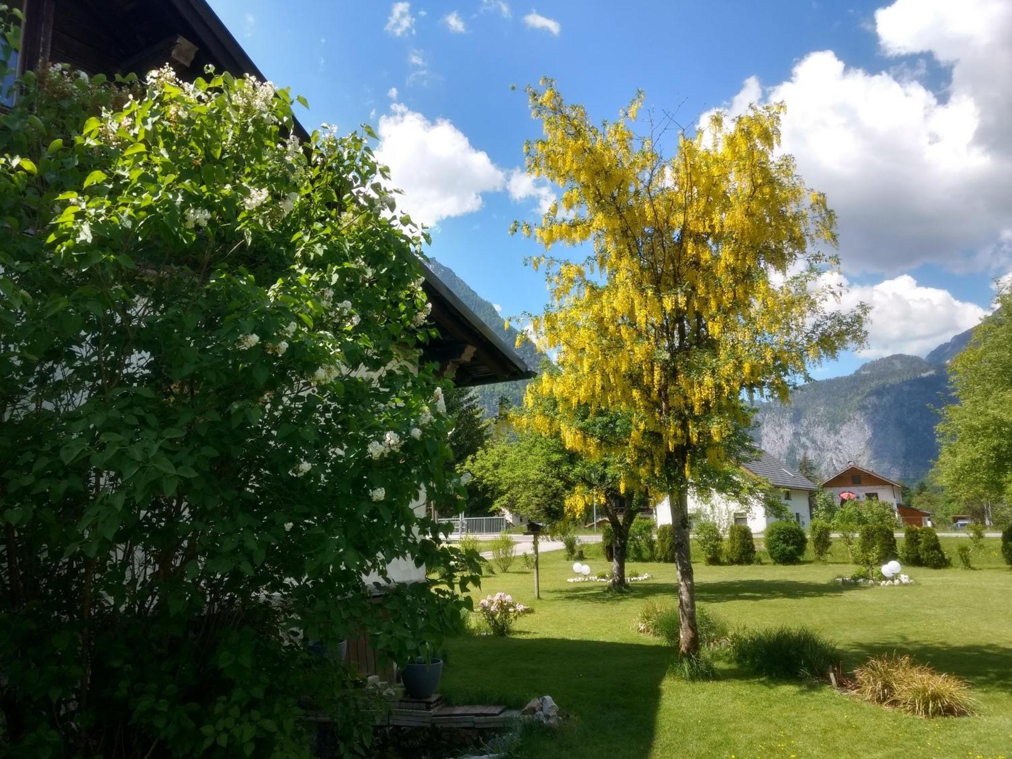 Haus Alpenblick Apartment Obertraun Exterior foto