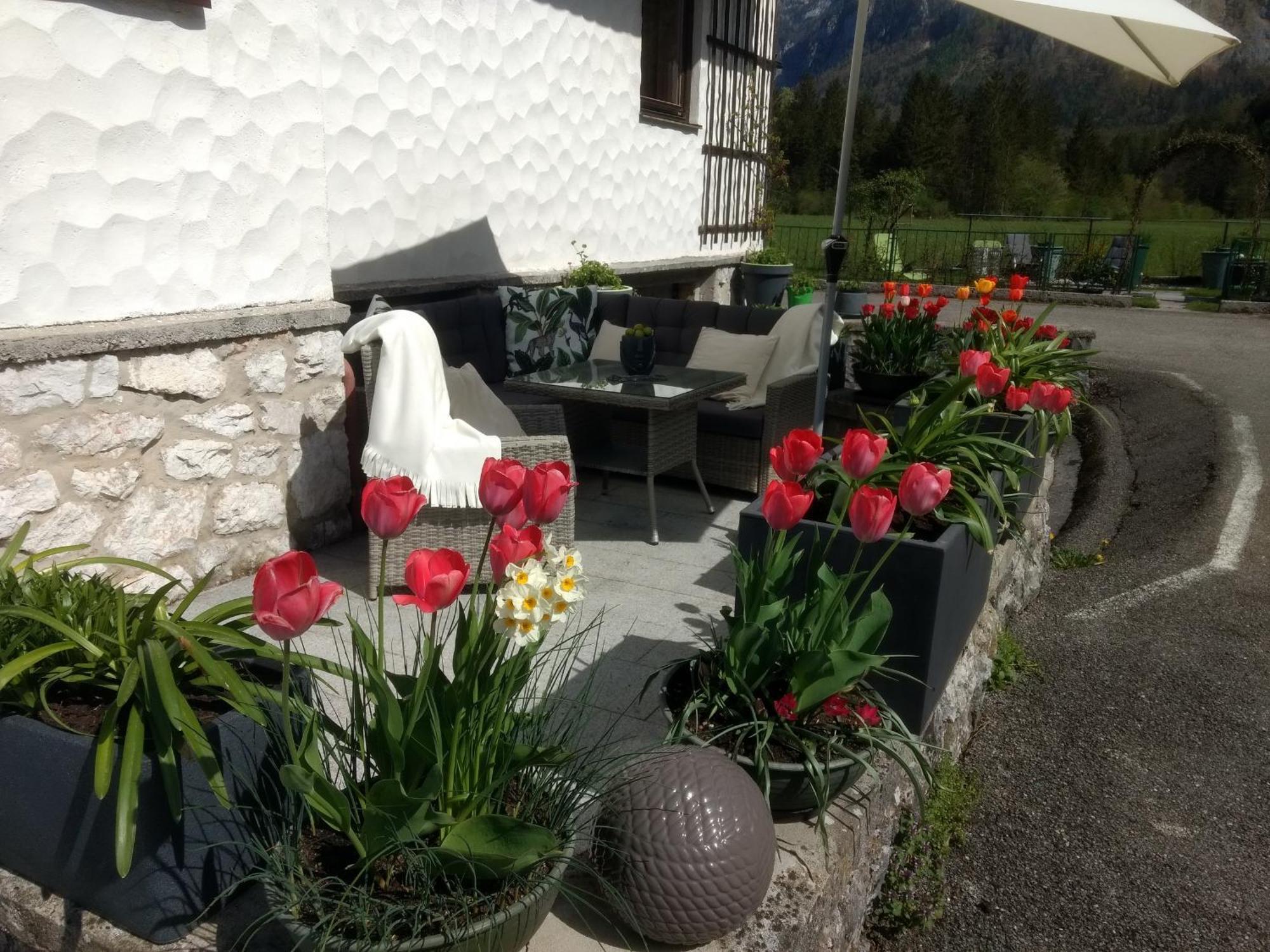 Haus Alpenblick Apartment Obertraun Exterior foto