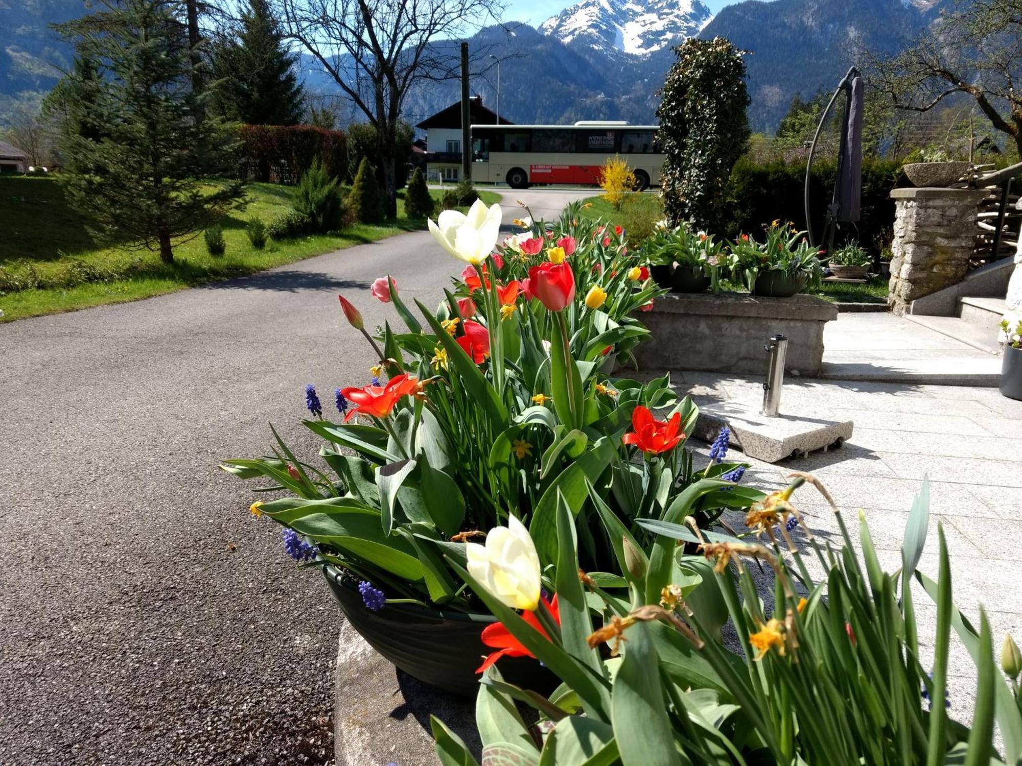 Haus Alpenblick Apartment Obertraun Exterior foto